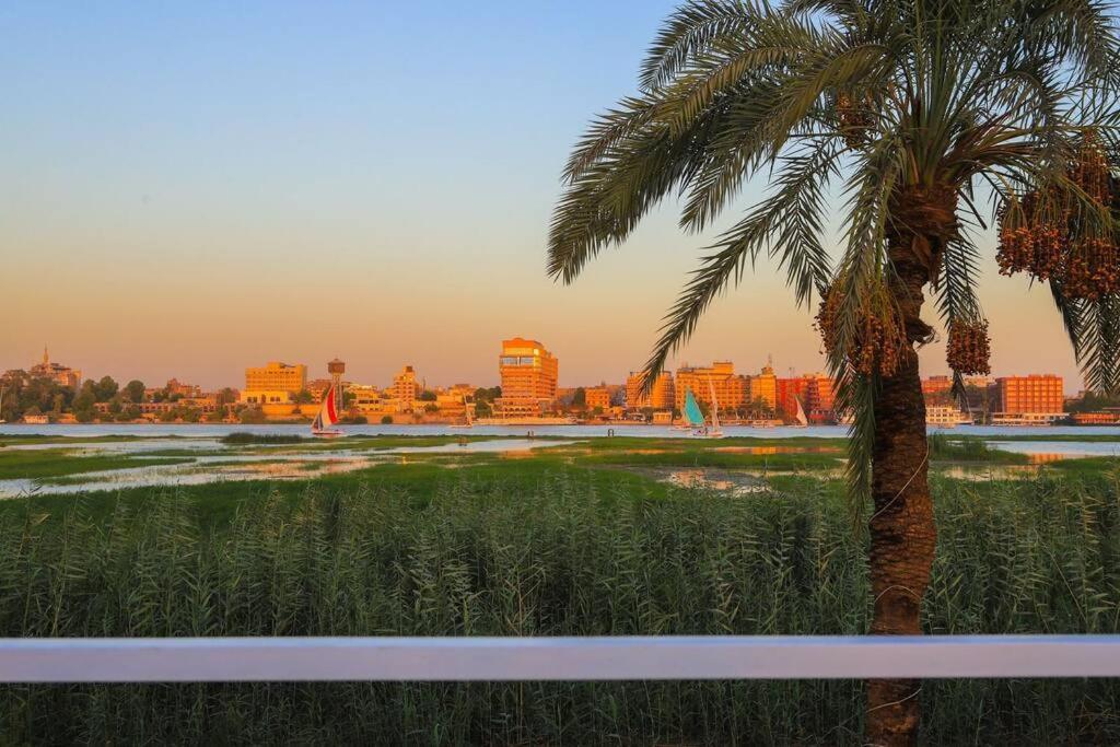 Royal Nile Villa - Nile View Apartment 1 Луксор Экстерьер фото