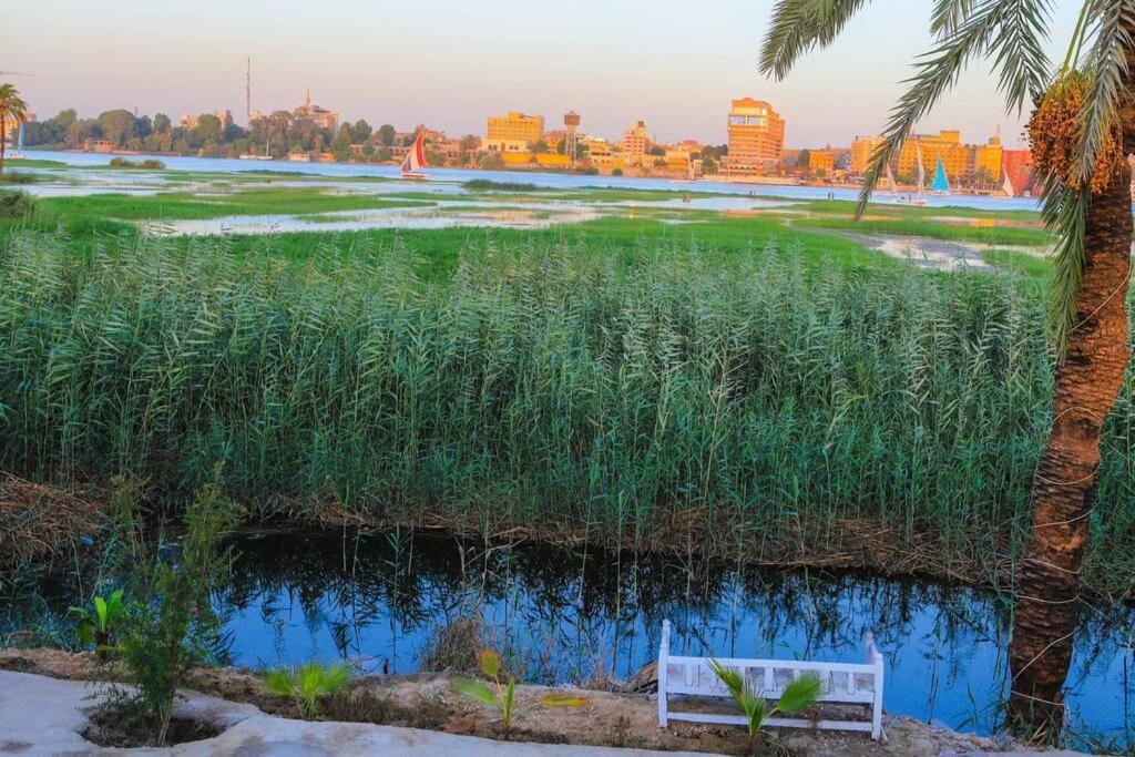 Royal Nile Villa - Nile View Apartment 1 Луксор Экстерьер фото